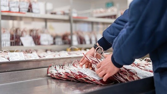 Mitarbeiter des DRK-Blutspendedienst z&auml;hlt den Bestand der Blutkonserven. (Foto: DRK-Blutspendedienst NSTOB)