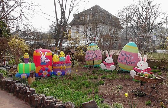 Dem Hasen auf der Spur (Foto: U.Reinboth ) Dem Hasen auf der Spur (Foto: U.Reinboth )