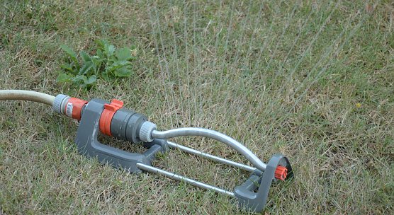 Rasensprenger (Foto: Anja Roth/ VSR-Gew&auml;sserschutz)