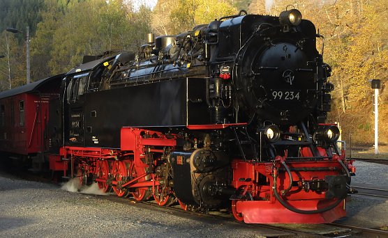 Die "Eisk&ouml;nigin" in Eisfelder Talm&uuml;hle (Foto: Bernd Thielbeer )