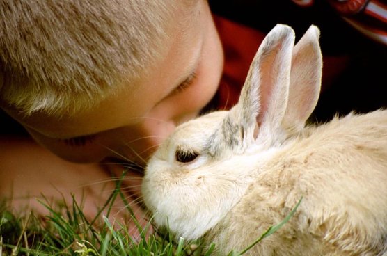 Wir suchen die schönsten Osterfotos (Foto: Eva Maria Wiegand) Wir suchen die schönsten Osterfotos (Foto: Eva Maria Wiegand)