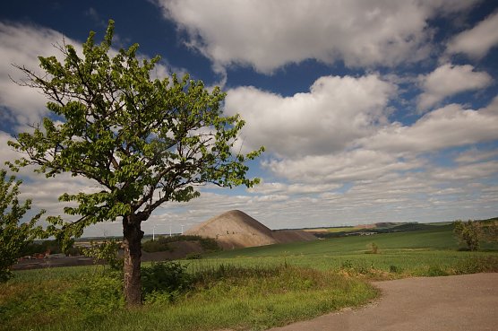 Am 4. Juni kann man den Gipfel der gr&ouml;&szlig;ten Haldenpyramide besteigen (Foto: Thomas W&auml;sche)