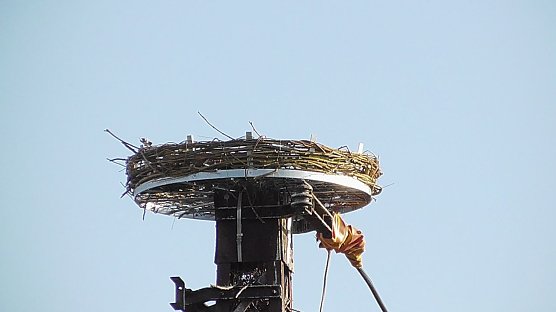 Im Moment noch unbewohnt, aber die Hoffnung ist gro&szlig; (Foto: Ulrich Reinboth)