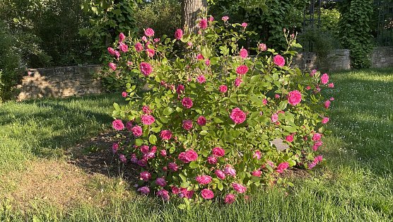 Der Juli war wieder einmal zu warm, sagen die Meteorologen. Auch wenn es sich gerade anders anf&uuml;hlt. (Foto: oas)