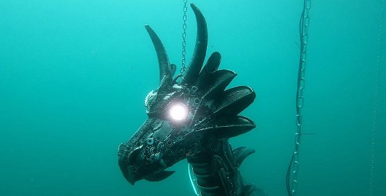 Ein Fabelwesen mit leuchtenden Augen wurde heute am und im Sundh&auml;user Kiesteich gesichtet (Foto: S.Dietzel)