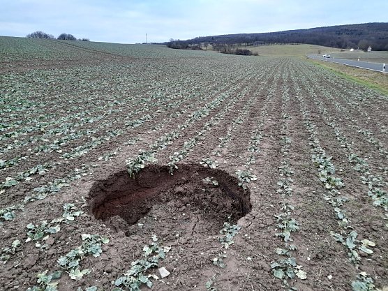 Erdfall nahe der Stra&szlig;e nach Hayn &ouml;stlich Breitungen (Foto: Armin Hoch)