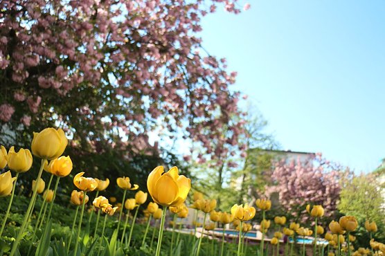 Wetterbild (Foto: agl)