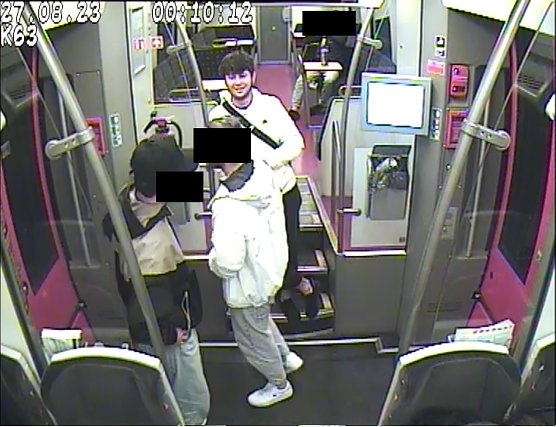 Wer erkennt diese Person  (Foto: Polizei Mansfeld-S&uuml;dharz )