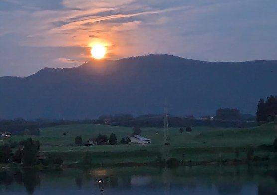 Wundersch&ouml;nes Allg&auml;u (Foto: Karina Kaufmann)