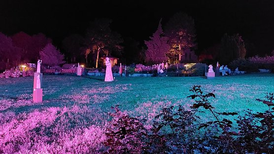 Lichterglanz im Rosenpark (Foto: Karin Thom)