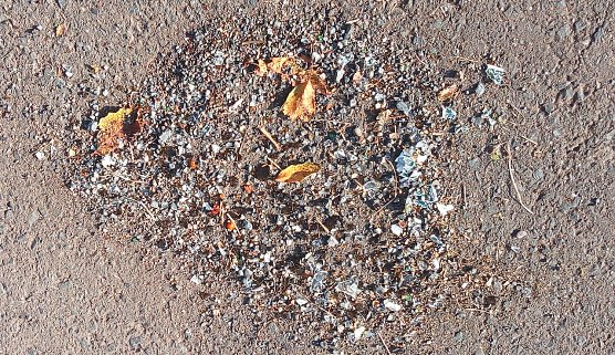 Scherben vorm Turm (Foto: U.Reinboth)