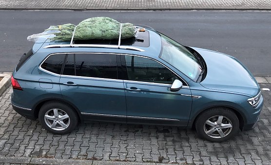 	 Beim Transport auf dem Dach sollte das Stammende des Weihnachtsbaums immer nach vorne zeigen. (Foto: ADAC Hessen-Th&uuml;ringen)