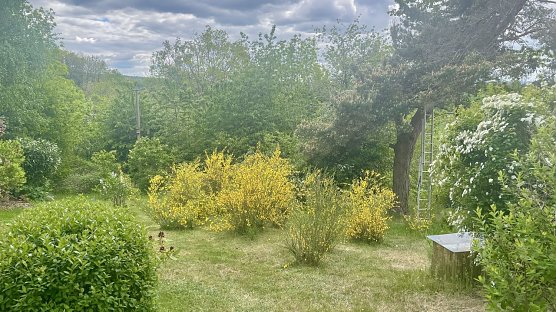 Momentaufnahme in Neustadt (1) (Foto: Volker Weickert) Momentaufnahme in Neustadt (1) (Foto: Volker Weickert)