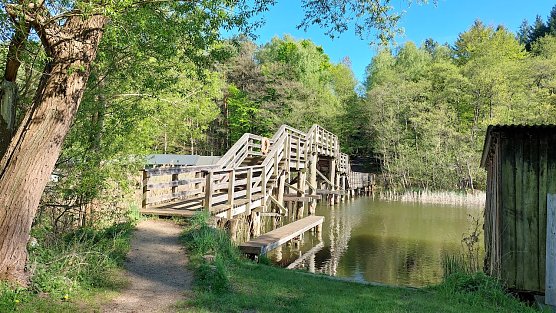 M&ouml;ssensee in Mecklenburg-Vorpommern (Foto: Sabine Schr&ouml;der)
