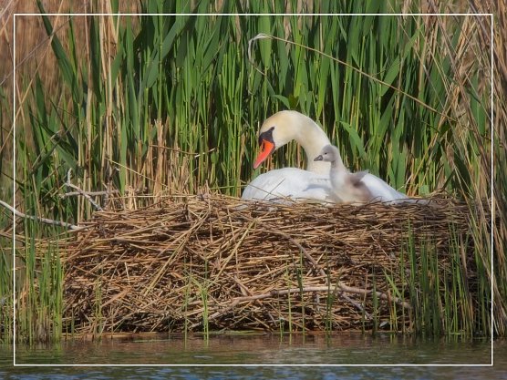 Hallo Welt (Foto: Norbert Schmidt) Hallo Welt (Foto: Norbert Schmidt)