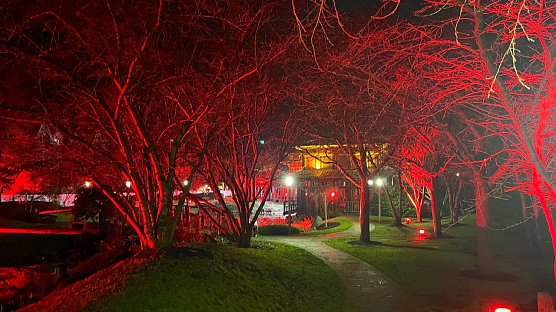Wundervolle Lichterwelt im Japanischen Garten (Foto: Ilse R. Möller) Wundervolle Lichterwelt im Japanischen Garten (Foto: Ilse R. Möller)