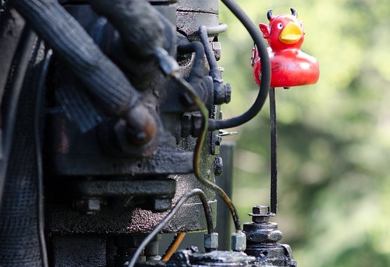 Die letzte Chance? (Foto: der_niels auf Pixabay)