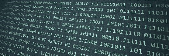 Website durch Bot-Invasion lahmgelegt (Foto: vgf)