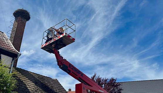 Bild: 