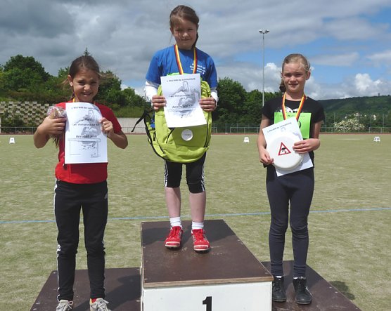 Mini-WM-2010 (Foto: Karl-Heinz Herrmann)