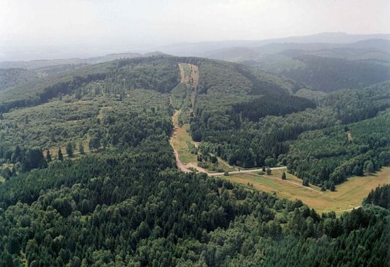 Grünes Band bei Ellrich (Foto: privat) Grünes Band bei Ellrich (Foto: privat)