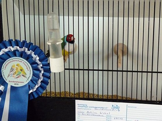 Vogelausstellung in Sondershausen (Foto: Karl-Heinz Herrmann) Vogelausstellung in Sondershausen (Foto: Karl-Heinz Herrmann)