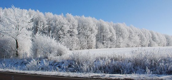 Bild: Entlang der Bundesstra&szlig;e 86 pr&auml;sentierte sich heute Mittag die Landschaft in sch&ouml;nstem Wei&szlig; unter blauem Himmel.