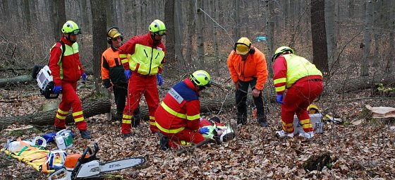 Bild: Der im Wald verungl&uuml;ckte Forstarbeiter wird von Rettungskr&auml;ften geborgen und abtransportiert.