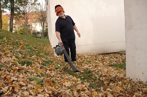 Bild: Arbeitsschutz auch bei der Garten- und Hausarbeit