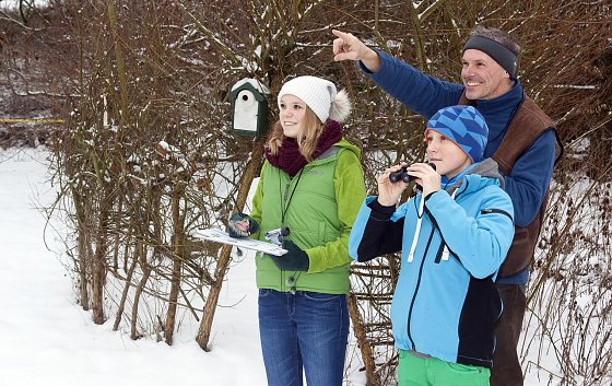 Bild: V&ouml;gel im Winter beobachten