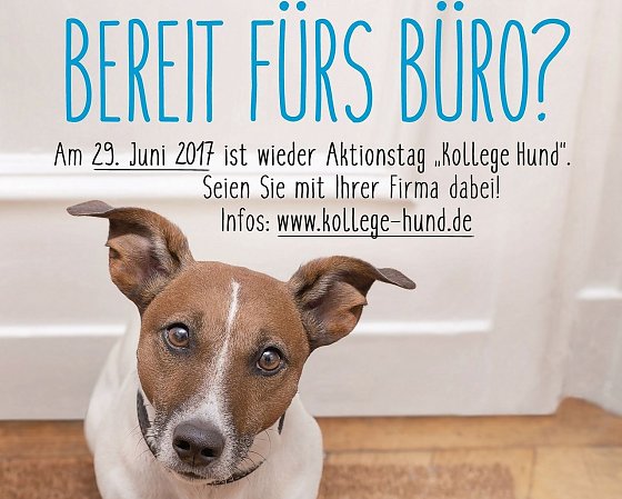 Bild: Plakat
