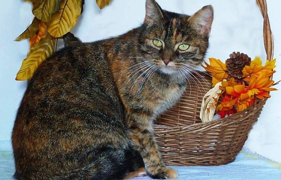 Bild: Frieda