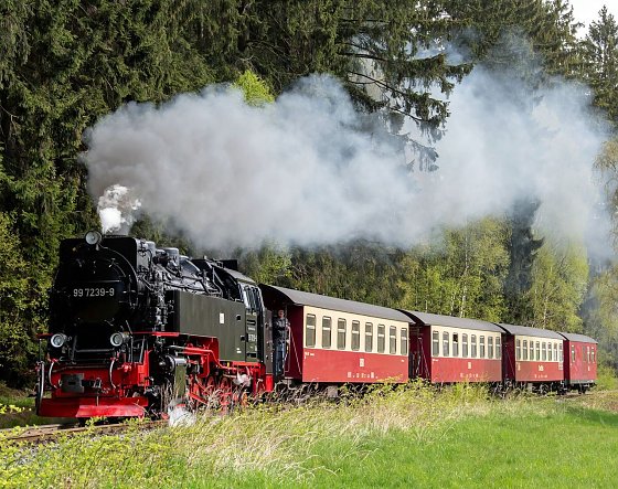 Bild: Fahrt durchs Selketal