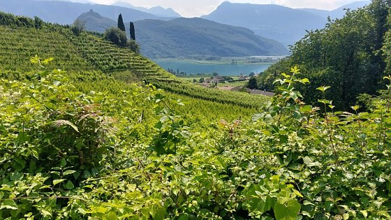 Bild: S&uuml;dtirol, frei von Windr&auml;dern