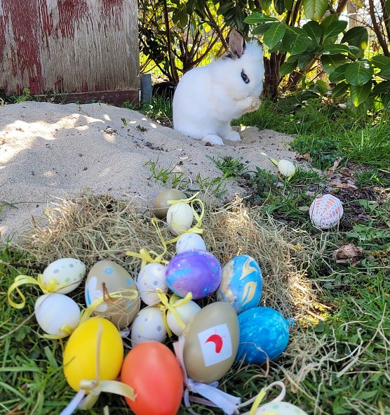 Bild: Ostern bei Familie Tritschler in Nohra bei Bleicherode (3.)