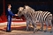 Circus Rolina gastiert in Nordhausen 