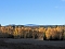 Herbst im Harz
