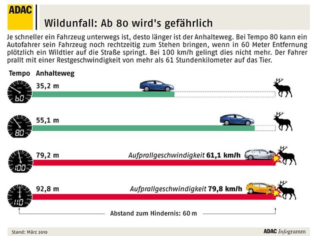 Bild: Grafik
