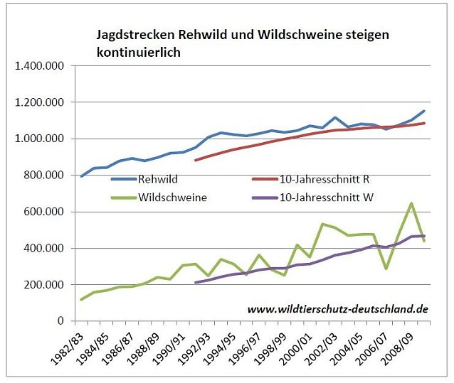 Bild: Grafik
