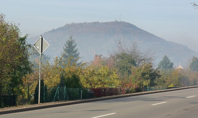 Bild: 18. Stadtparklauf