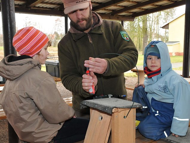 Bild: Nistk&Atilde;&curren;sten werden gebaut