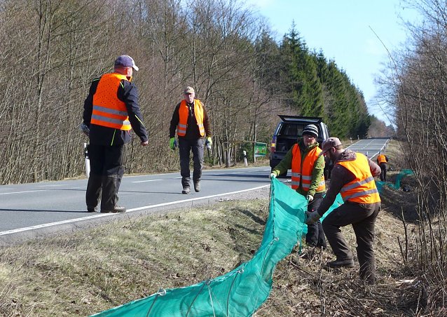 Bild: Kr&ouml;tenzaun bei Hayn