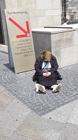 Bild: Beim Carl Schroeder Wettbewerb erfolgreich