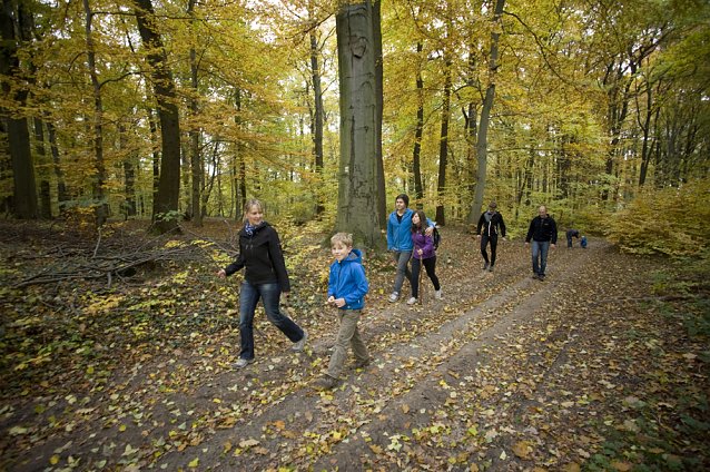 Bild: Den Alten Wald der Hohen Schrecke mit der neuen Wander- und Radkarte entdecken