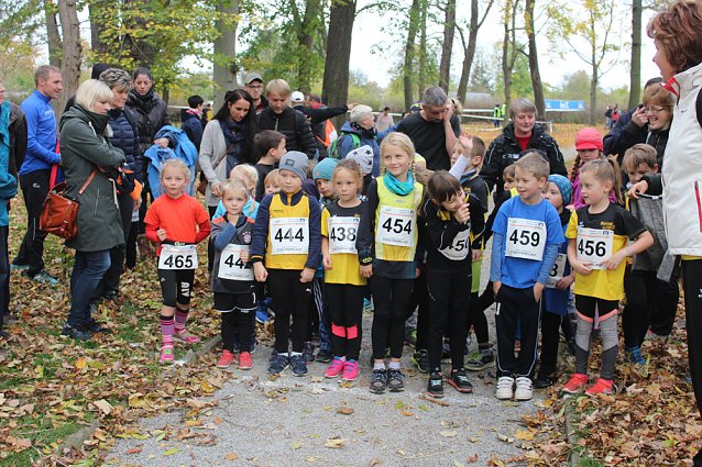 Bild: 24. Stadtparklauf in Sondershausen (1)