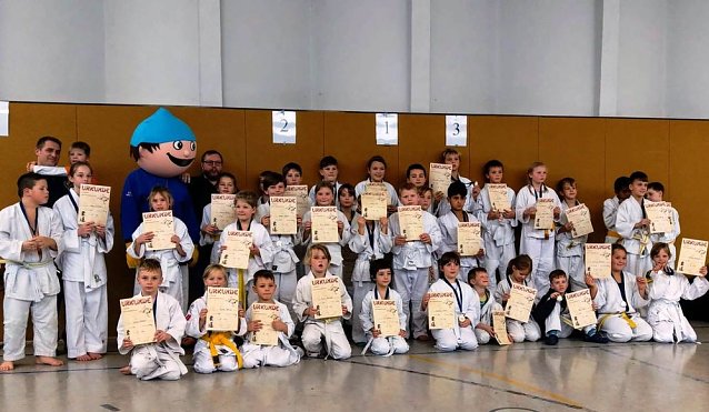 Bild: Kleine Judoka mit gro&szlig;em K&auml;mpferherz