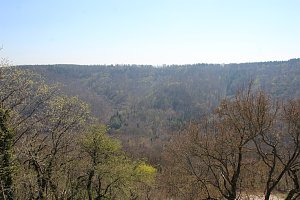 Bild: Gro&szlig;artiger MDR Osterspaziergang in Bad Frankenhausen