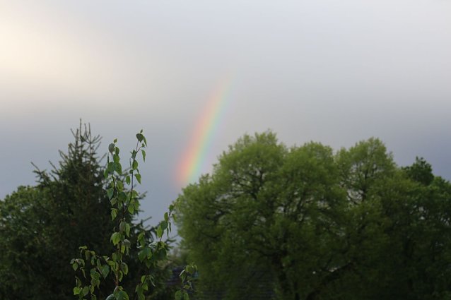 Bild: Wetterbild