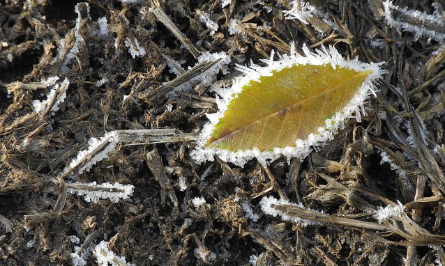 Bild: herbst