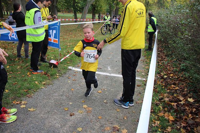Bild: 26. Stadtparklauf Sondershausen und...
